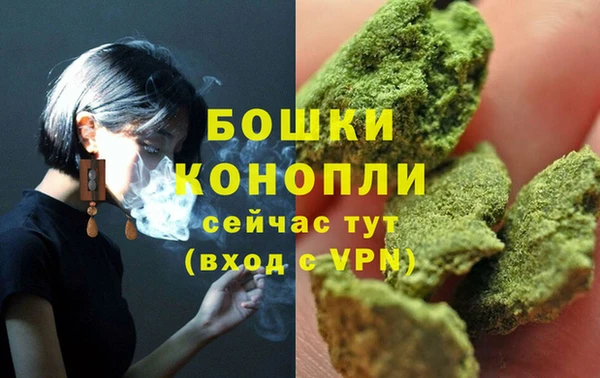 первитин Снежногорск