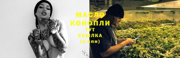 первитин Снежногорск