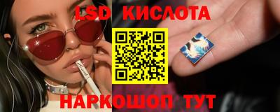 мяу мяу мука Камышлов