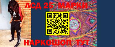 мяу мяу мука Камышлов
