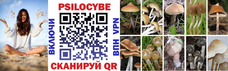 Галлюциногенные грибы Psilocybe  Ярославль 