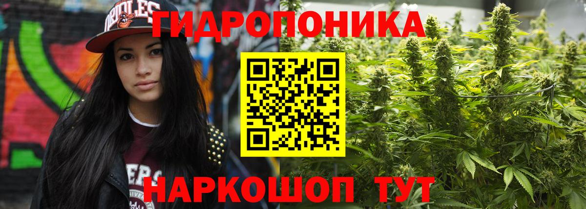 Бошки марихуана OG Kush  Каннабис Amnesia  Вход с VPN  Ярославль  Марихуана сатива  Конопля индика 